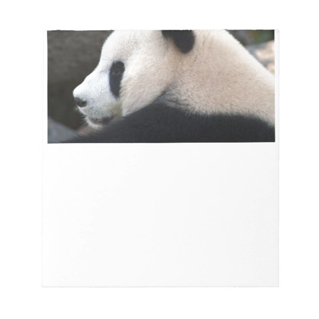 Panda Bear Hugs Notepad (Front)
