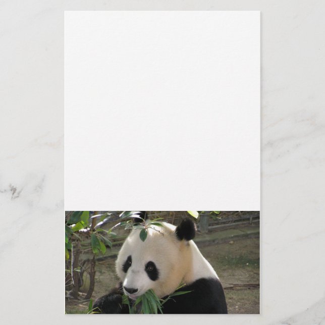 Panda Bear Hugs Stationery (Front)