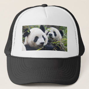 Panda Bear Hugs Trucker Hat