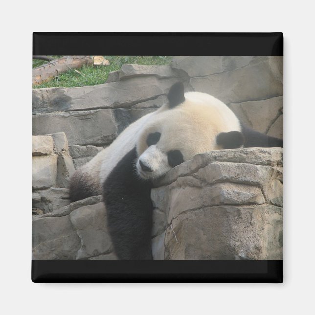 Panda  bear magnet (Front)