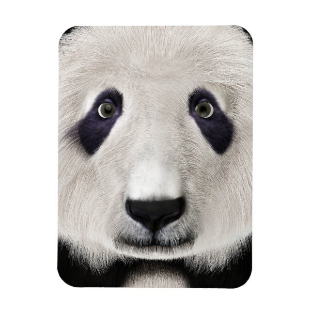 Panda Bear Magnet (Vertical)