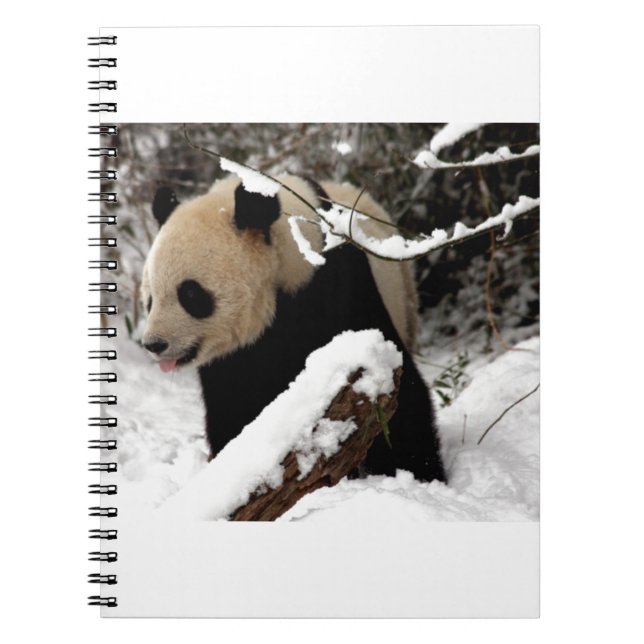 Panda Bear Notebook (Front)