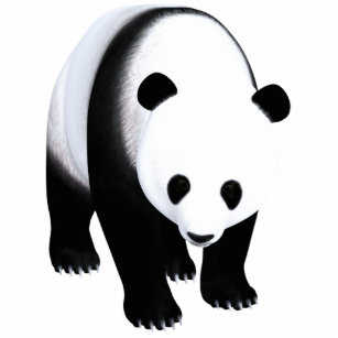 Panda Bear Photo Sculpture Ornament