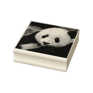 PANDA BEAR PHOTORAPHE TAMPON DE CAOUTCHOUC