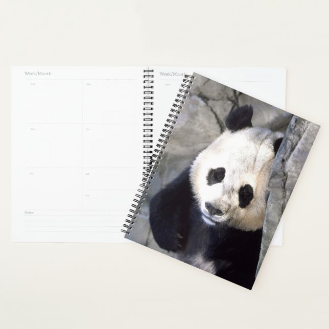Panda Bear Planner (Display)