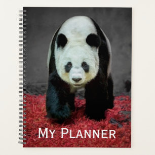 Panda Bear Planner