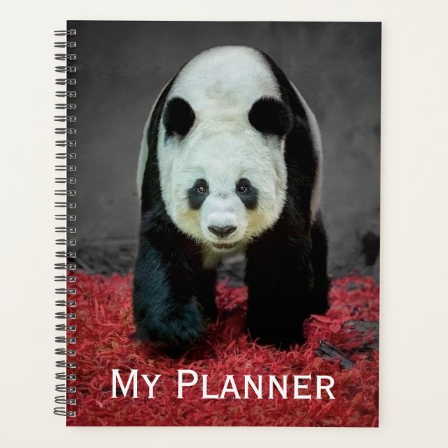 Panda Bear Planner (Front)