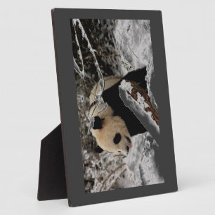 Panda Bear Plaque