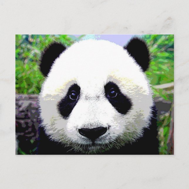 Panda Bear Postcard (Front)