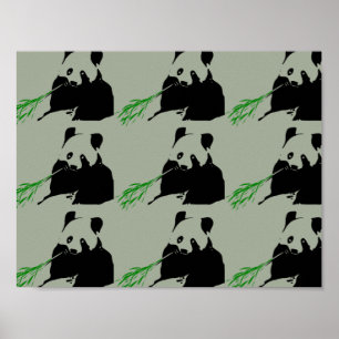 Panda bear poster