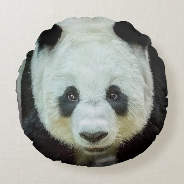 Panda Bear Round Pillow (Front)