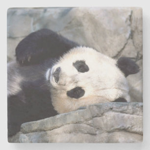 Panda Bear Stone Coaster