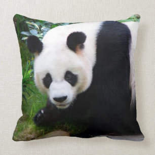Panda Bear Throw Pillow