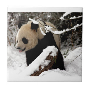 Panda Bear Tile