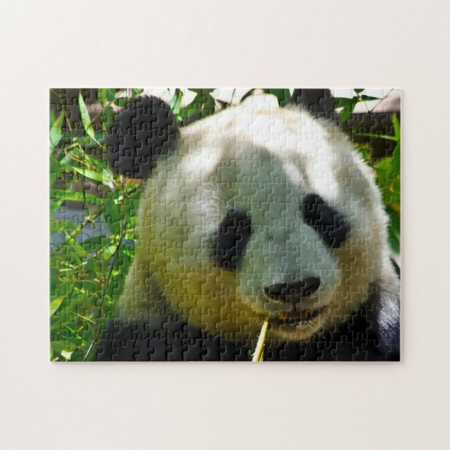Panda Bears. Jigsaw Puzzle (Horizontal)