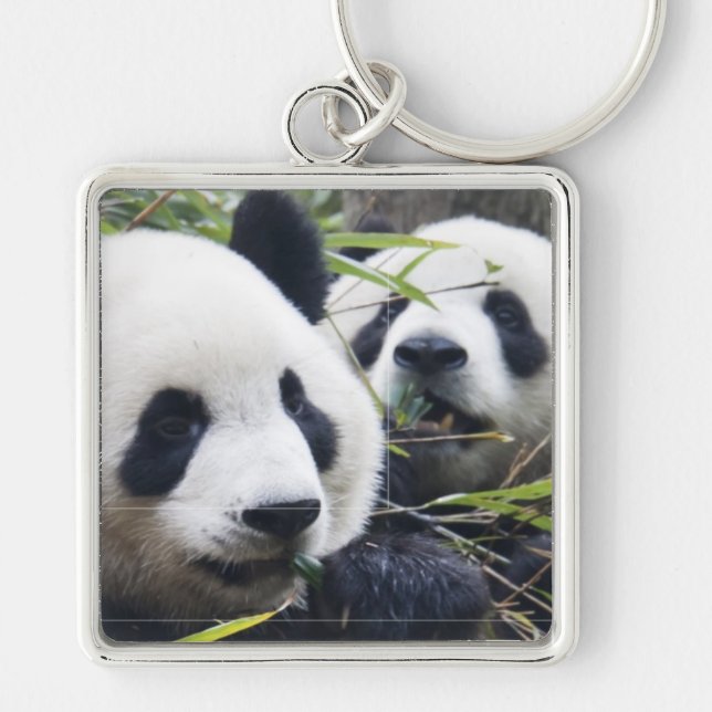 Panda Bears Keychain (Front)