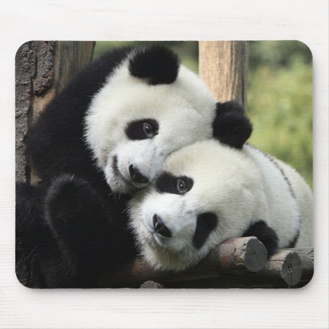Panda Bears Mouse Pad (Front)