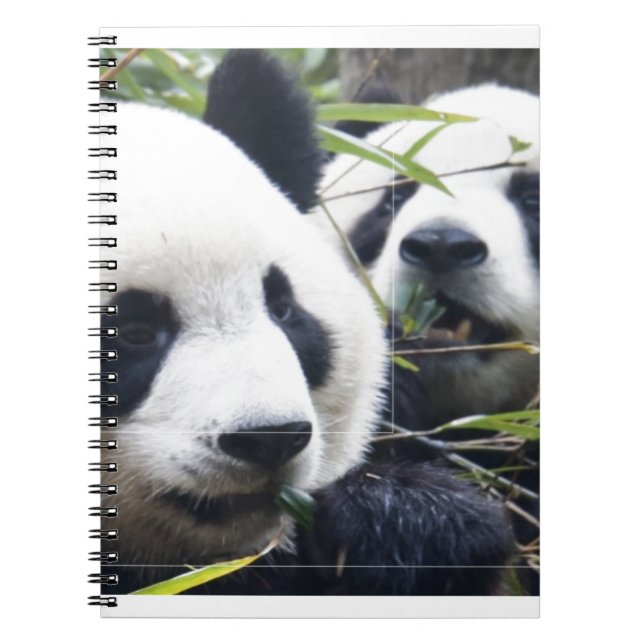 Panda Bears Notebook (Front)