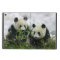Panda Bears Powis iCase iPad Cases