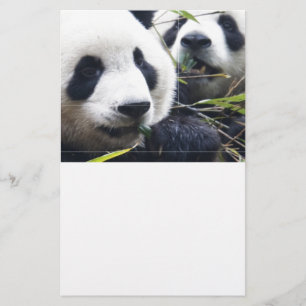 Panda Bears Stationery
