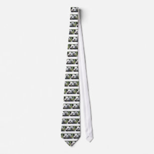 Panda Bears Tie