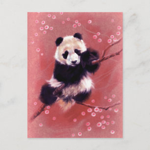 Panda Blossom Postcard