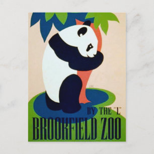 Panda Brookfield Zoo Post Card