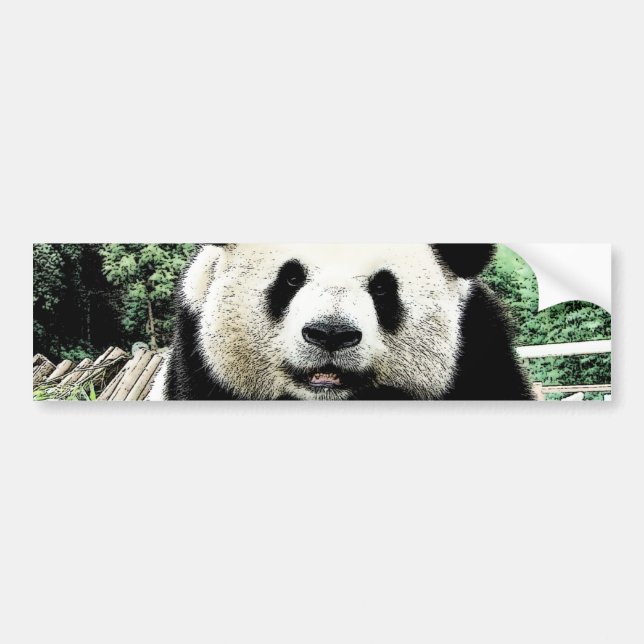 Panda Bumper Sticker (Front)