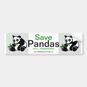 Panda - bumper sticker