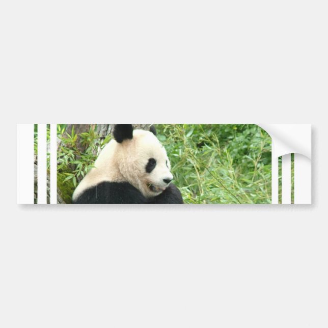 Panda Bumper Sticker (Front)