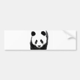 Panda Bumper Sticker