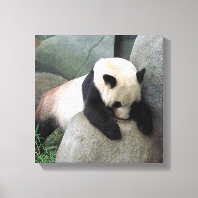 Panda Canvas Print (Front)