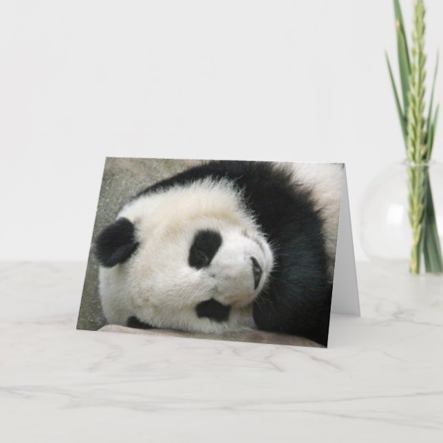 panda card (Front)