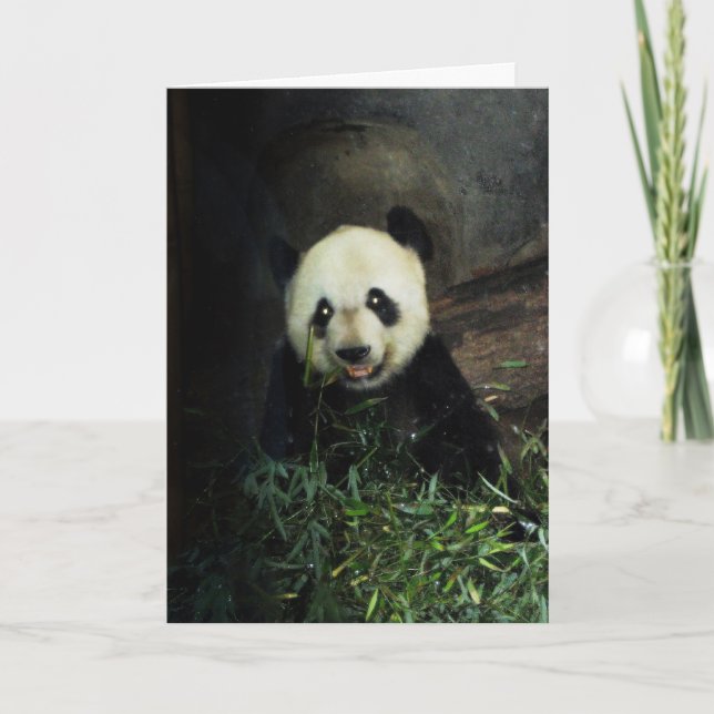 Panda Card (Front)
