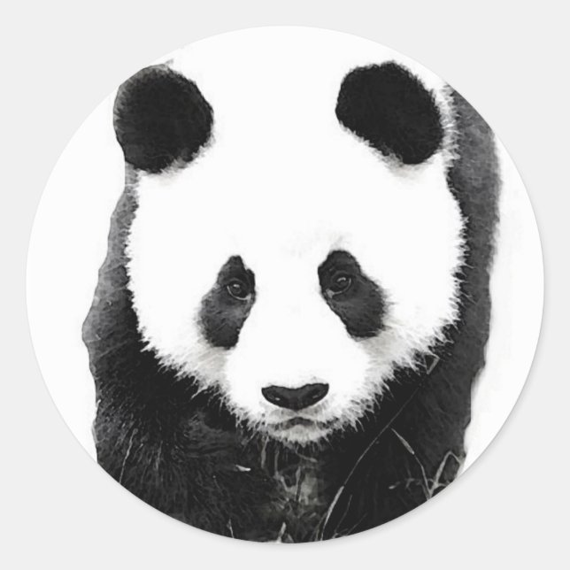 Panda Classic Round Sticker (Front)