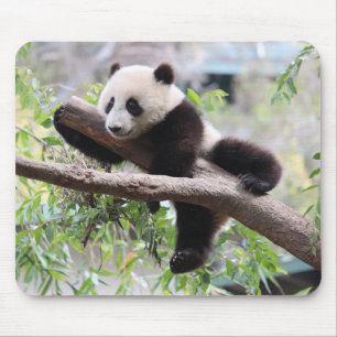 Panda Cub Mouse Pad