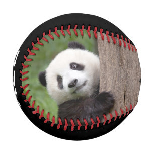 Panda cub Painting baseball