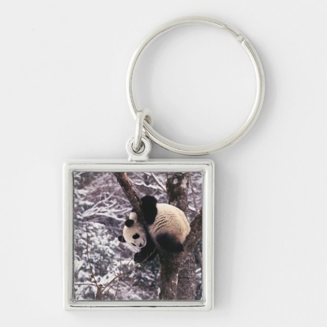 Panda cub playing on tree covered with snow, keychain (Front)