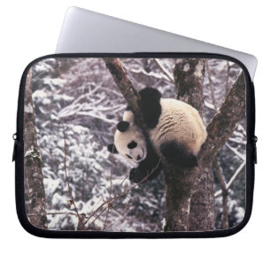 Panda cub playing on tree covered with snow, laptop sleeve