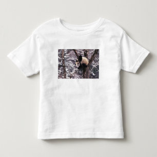 Panda cub playing on tree covered with snow, toddler t-shirt