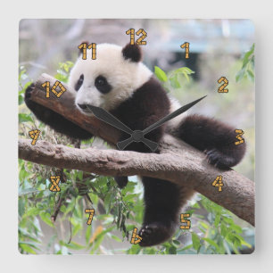 Panda Cub Square Wall Clock