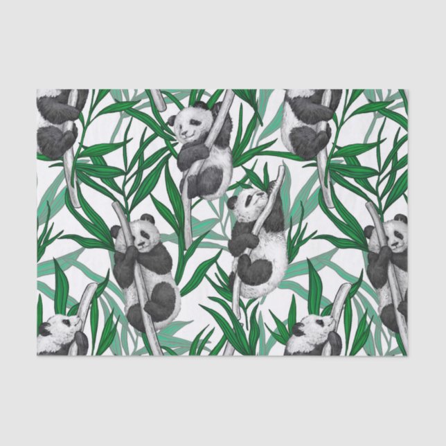 Panda cubs on tissue paper (Front)