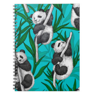 Panda cubs on turquoise notebook