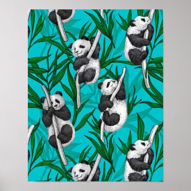 Panda cubs on turquoise poster (Front)