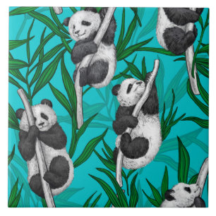 Panda cubs on turquoise tile