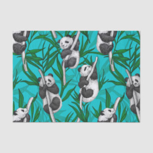 Panda cubs on turquoise tissue paper