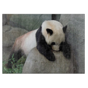 Panda Decorative Glass Cutting Board