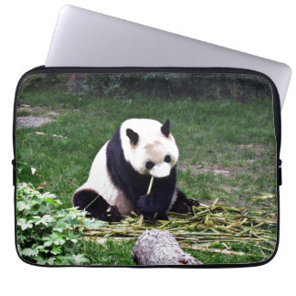 Panda eating Bamboo Laptop Sleeve