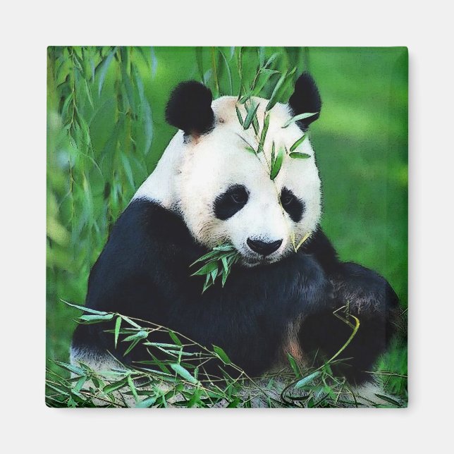 Panda Eating Leaves Magnet (Front)