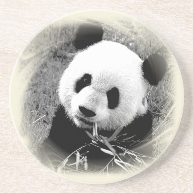 Panda Eyes Coaster (Front)